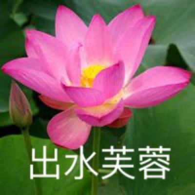 圣墟剑宗游戏官方下载